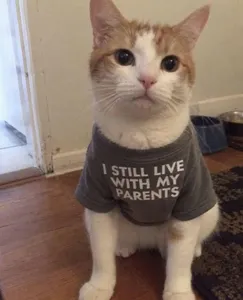 Thread image