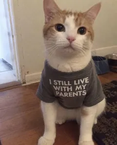 Thread image